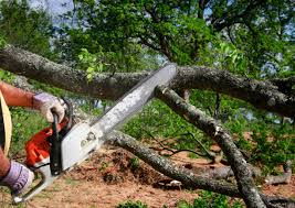 Mulching Services in Deer Park, IL